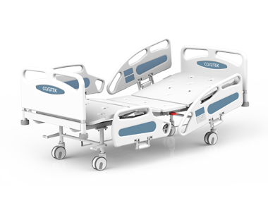 B21 Two-Function Electric Bed